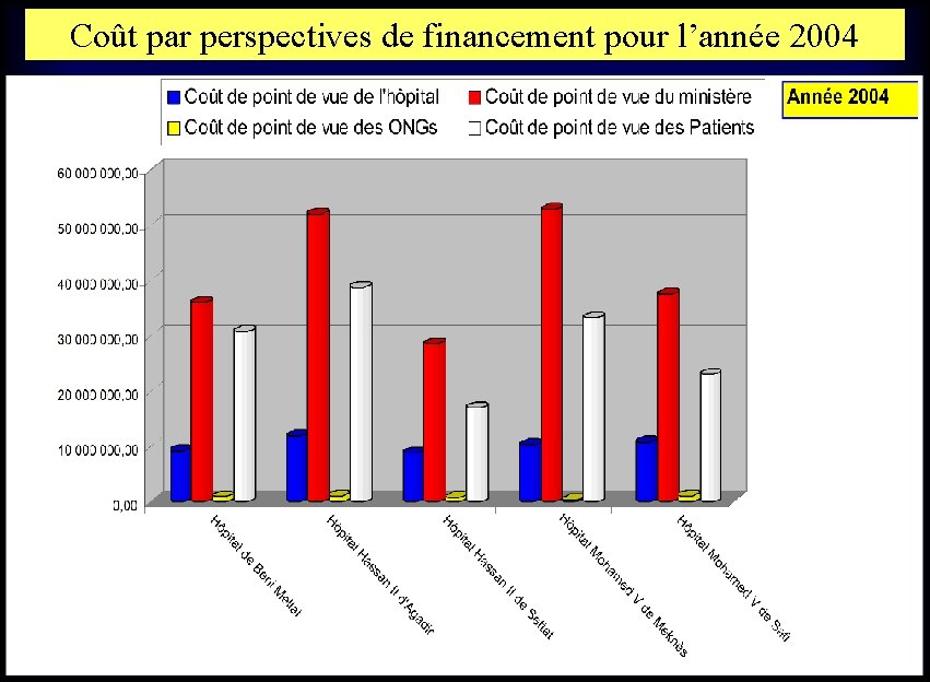 Coût par perspectives de financement pour l’année 2004 