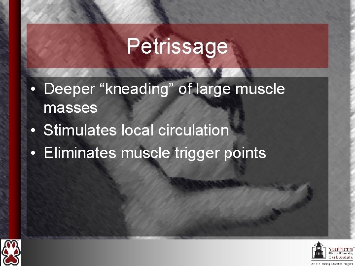 Petrissage • Deeper “kneading” of large muscle masses • Stimulates local circulation • Eliminates