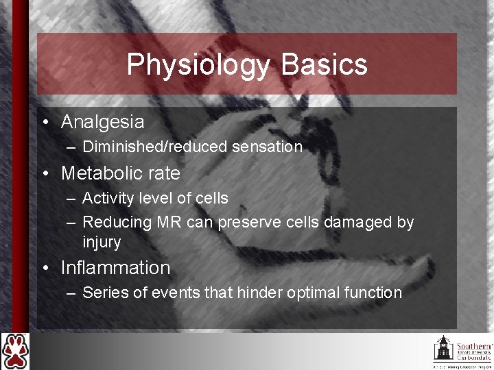 Physiology Basics • Analgesia – Diminished/reduced sensation • Metabolic rate – Activity level of