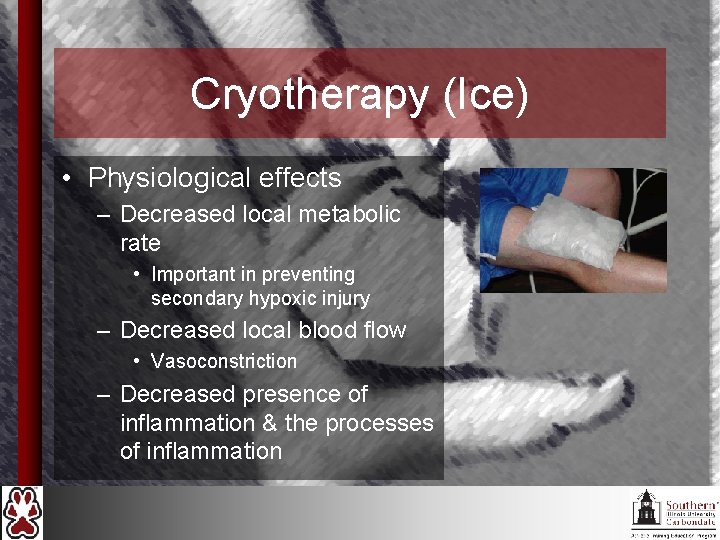 Cryotherapy (Ice) • Physiological effects – Decreased local metabolic rate • Important in preventing