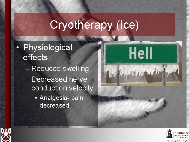 Cryotherapy (Ice) • Physiological effects – Reduced swelling – Decreased nerve conduction velocity •