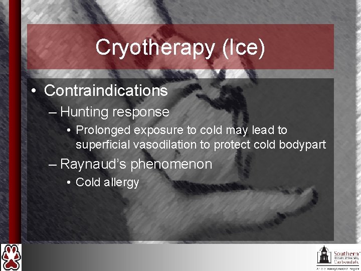 Cryotherapy (Ice) • Contraindications – Hunting response • Prolonged exposure to cold may lead