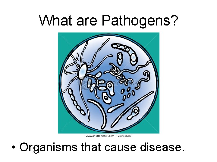 What are Pathogens? • Organisms that cause disease. 