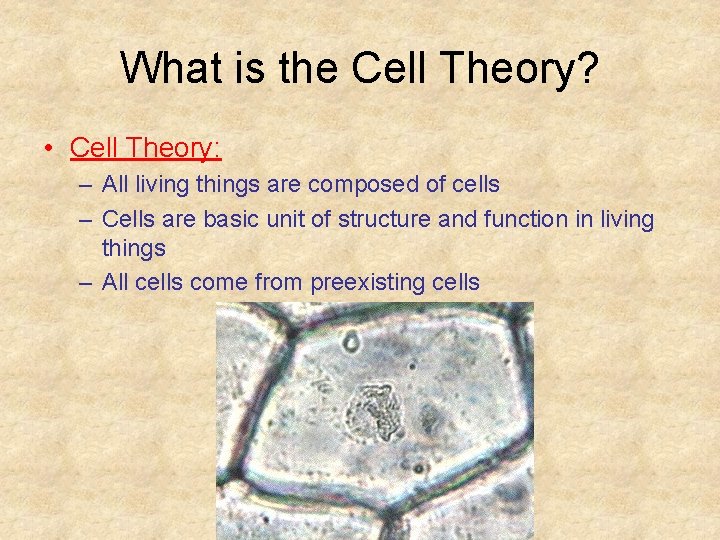 What is the Cell Theory? • Cell Theory: – All living things are composed