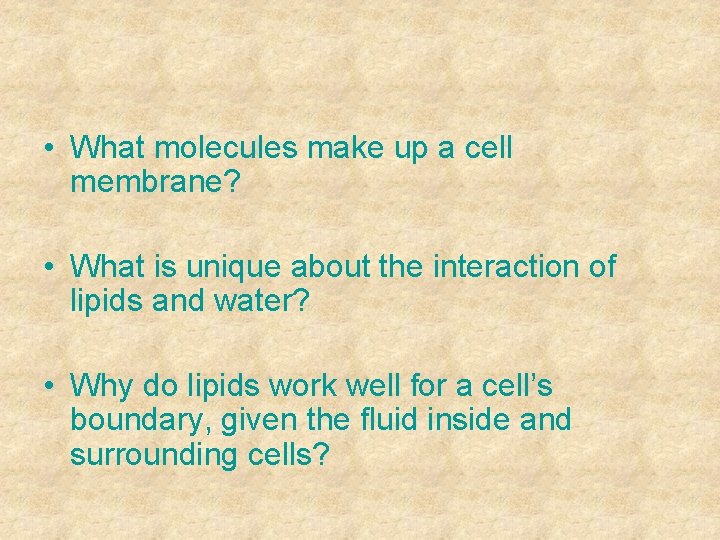  • What molecules make up a cell membrane? • What is unique about
