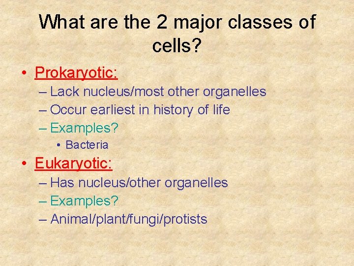 What are the 2 major classes of cells? • Prokaryotic: – Lack nucleus/most other