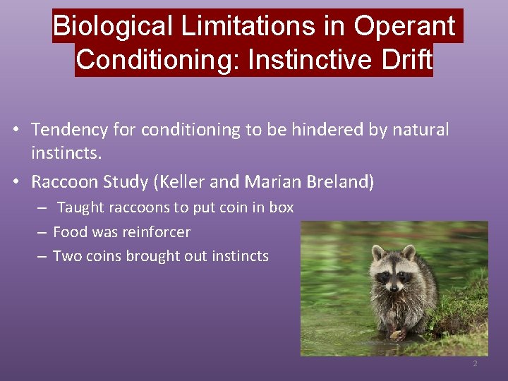 Biological Limitations in Operant Conditioning: Instinctive Drift • Tendency for conditioning to be hindered
