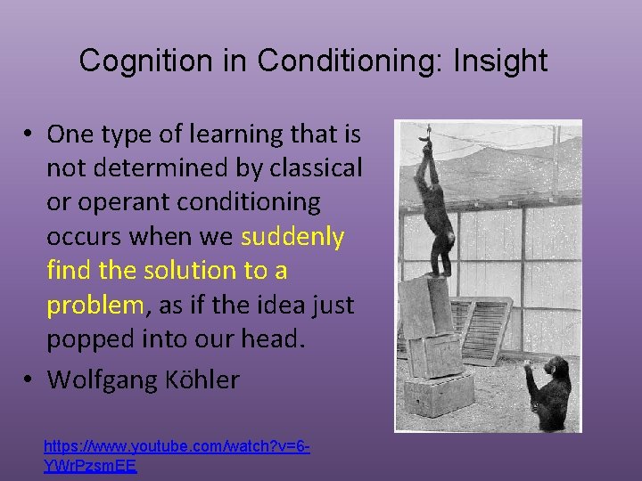 Cognition in Conditioning: Insight • One type of learning that is not determined by