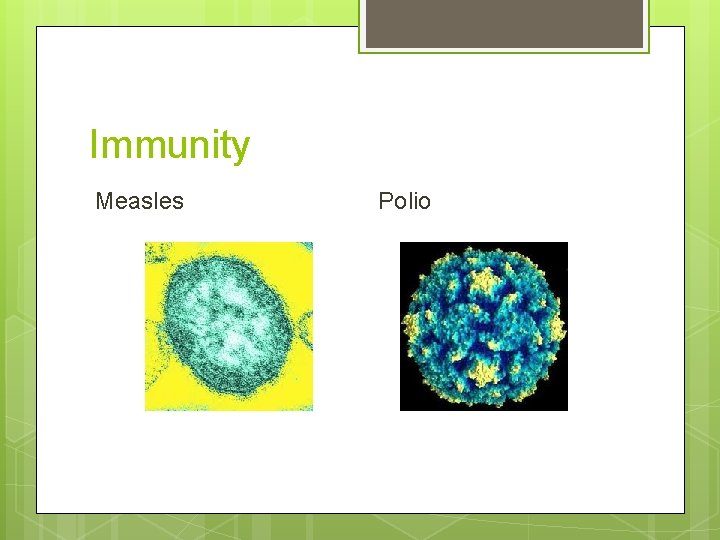 Immunity Measles Polio 