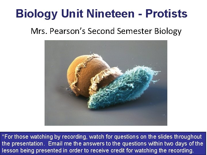 Biology Unit Nineteen - Protists Mrs. Pearson’s Second Semester Biology *For those watching by