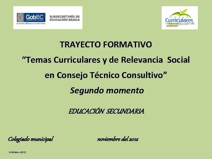 TRAYECTO FORMATIVO “Temas Curriculares y de Relevancia Social en Consejo Técnico Consultivo” Segundo momento