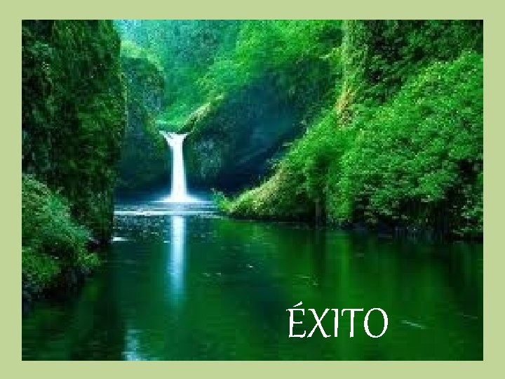 ÉXITO 