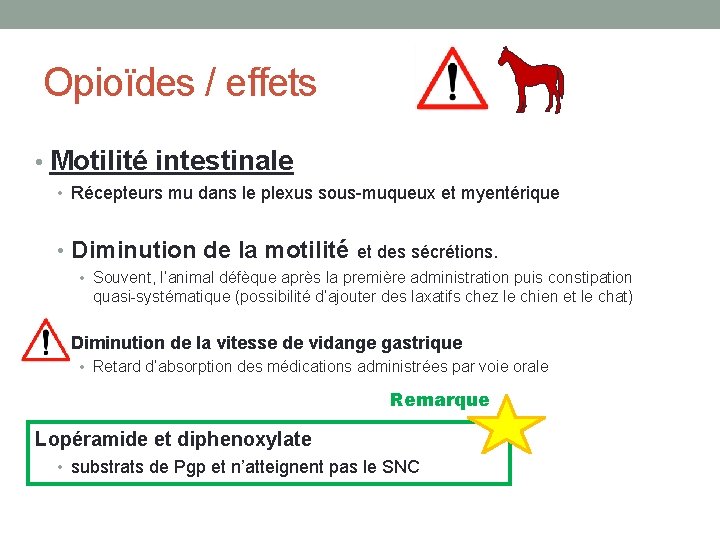 Opioïdes / effets • Motilité intestinale • Récepteurs mu dans le plexus sous-muqueux et