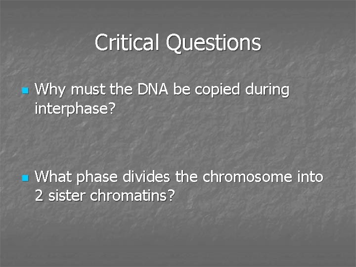 Critical Questions n n Why must the DNA be copied during interphase? What phase