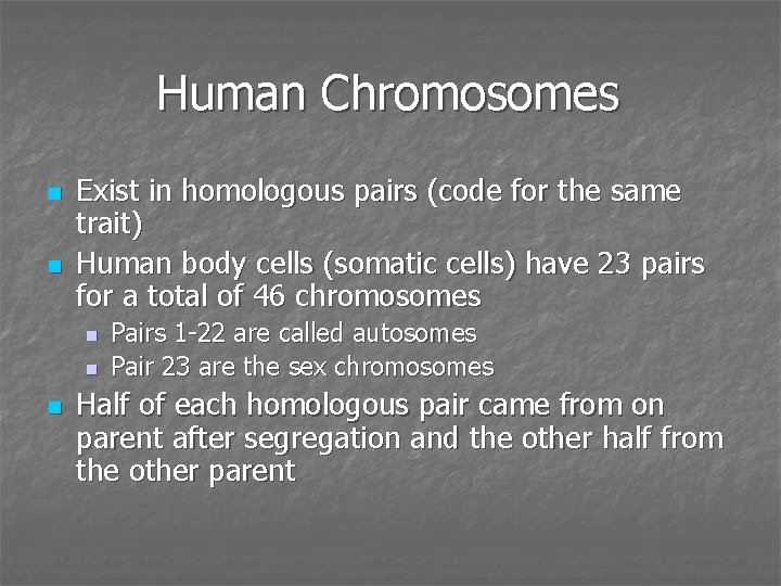 Human Chromosomes n n Exist in homologous pairs (code for the same trait) Human