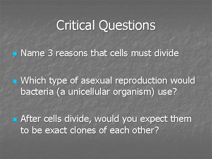 Critical Questions n n n Name 3 reasons that cells must divide Which type