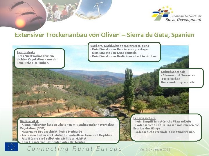 Extensiver Trockenanbau von Oliven – Sierra de Gata, Spanien Brandschutz - Das Nichtvorhandensein dichter