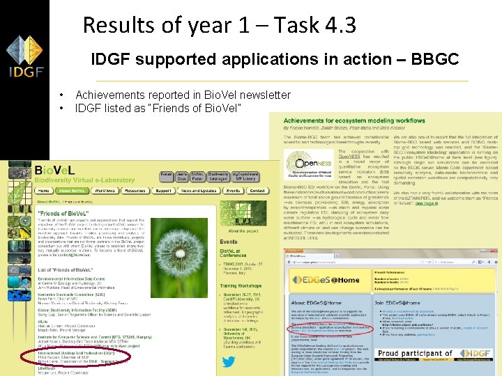 Results of year 1 – Task 4. 3 IDGF supported applications in action –