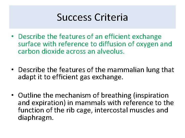 Success Criteria • Describe the features of an efficient exchange surface with reference to