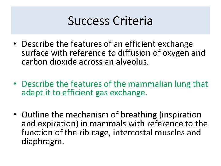 Success Criteria • Describe the features of an efficient exchange surface with reference to