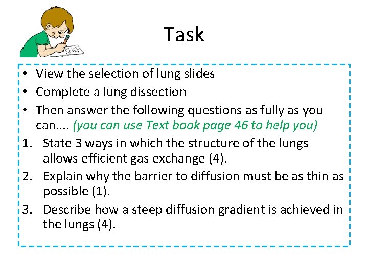 Task • View the selection of lung slides • Complete a lung dissection •