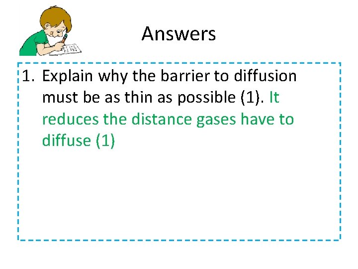 Answers 1. Explain why the barrier to diffusion must be as thin as possible