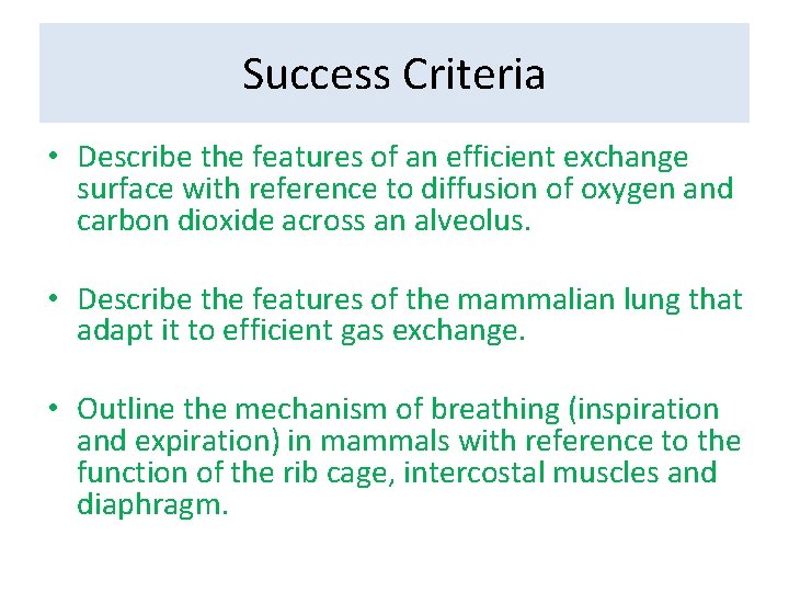 Success Criteria • Describe the features of an efficient exchange surface with reference to