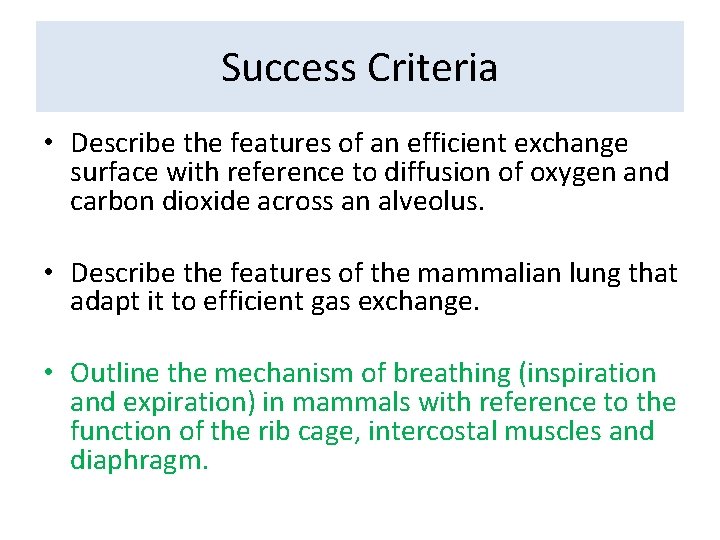 Success Criteria • Describe the features of an efficient exchange surface with reference to