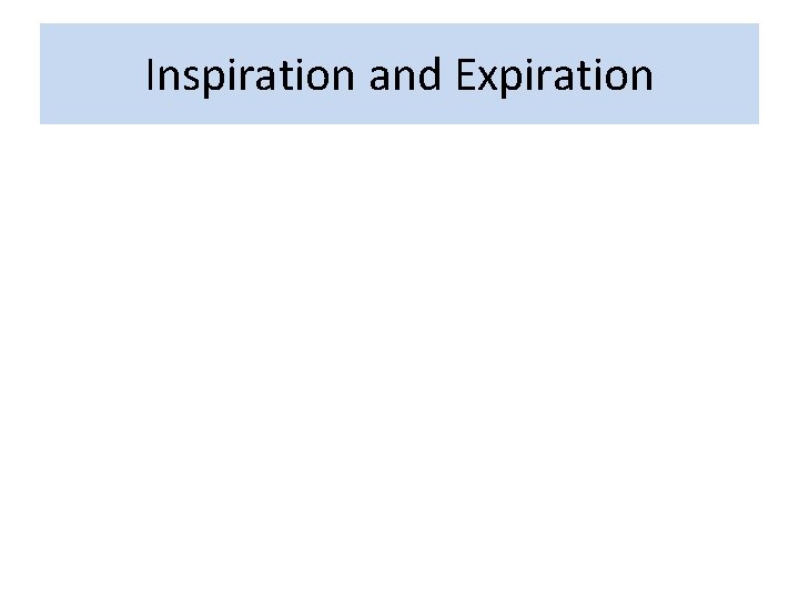 Inspiration and Expiration 