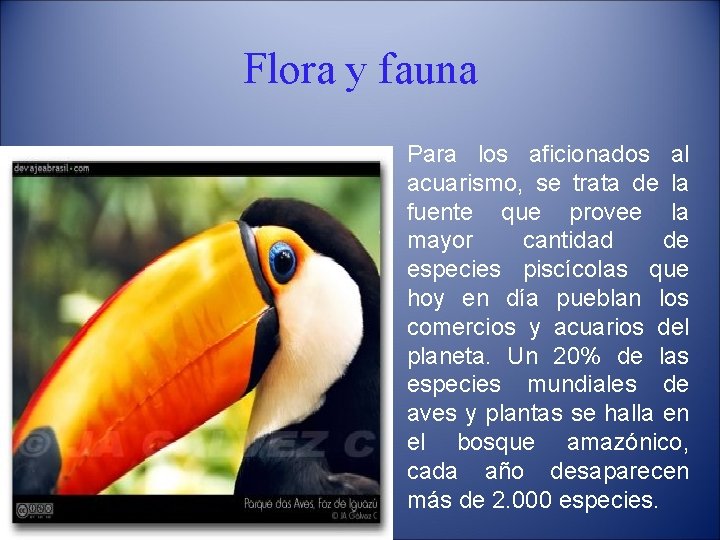 Flora y fauna Para los aficionados al acuarismo, se trata de la fuente que