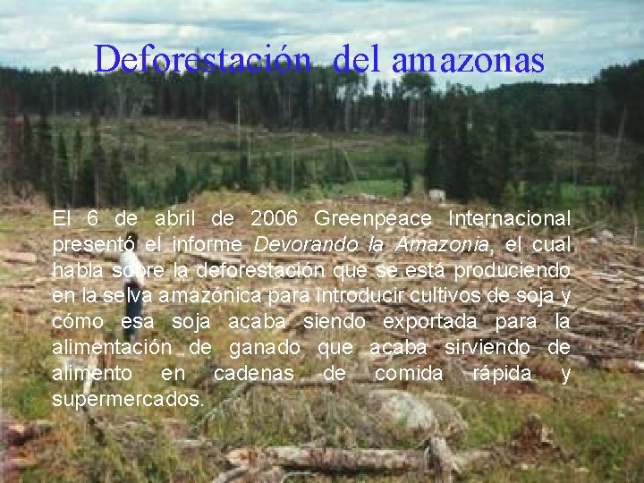 Deforestación del amazonas El 6 de abril de 2006 Greenpeace Internacional presentó el informe