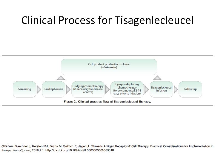 Clinical Process for Tisagenlecleucel Clinical Process for Tisagenlecleucel