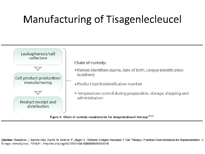 Manufacturing of Tisagenlecleucel Manufacturing of Tisagenlecleucel