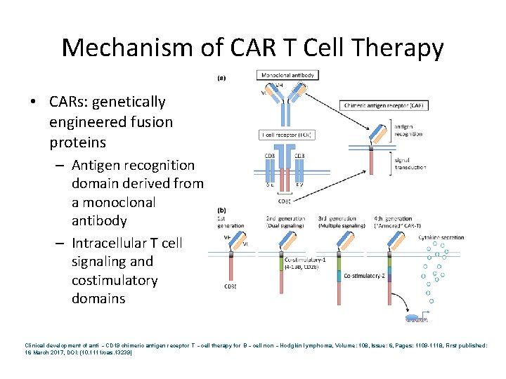 Mechanism of CAR T Cell Therapy • CARs: genetically engineered fusion proteins – Antigen Mechanism of CAR T Cell Therapy • CARs: genetically engineered fusion proteins – Antigen