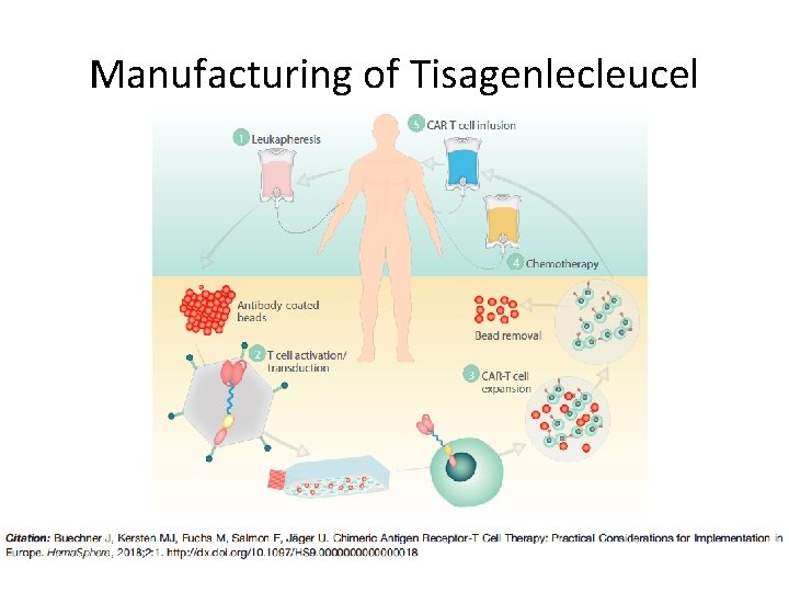 Manufacturing of Tisagenlecleucel Manufacturing of Tisagenlecleucel