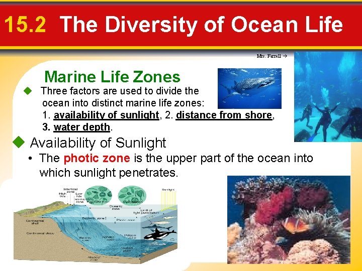 15. 2 The Diversity of Ocean Life Mrs. Farrell Marine Life Zones Three factors