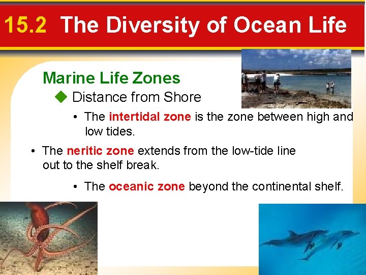 15. 2 The Diversity of Ocean Life Marine Life Zones Distance from Shore •