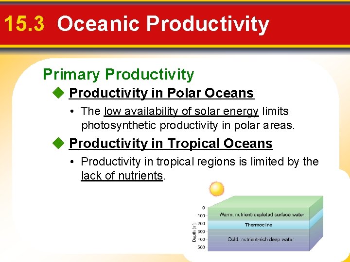 15. 3 Oceanic Productivity Primary Productivity in Polar Oceans • The low availability of