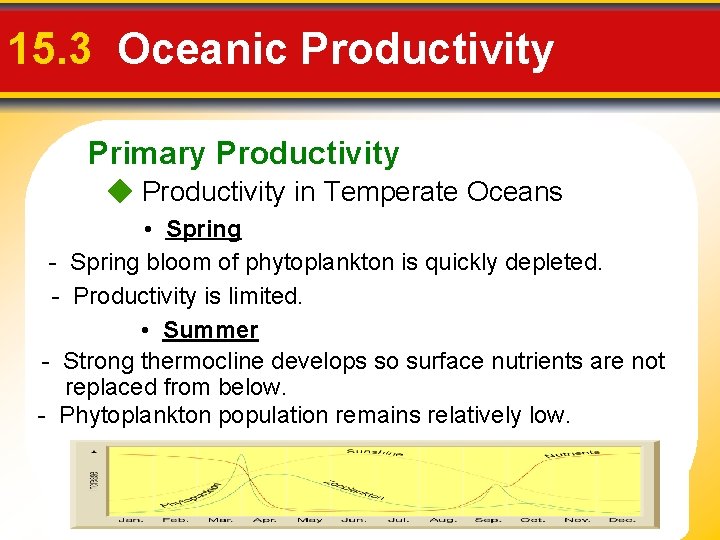 15. 3 Oceanic Productivity Primary Productivity in Temperate Oceans • Spring - Spring bloom