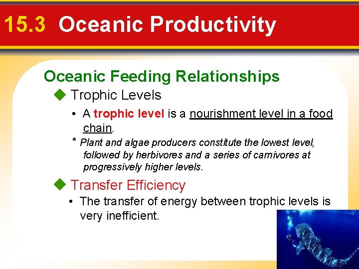 15. 3 Oceanic Productivity Oceanic Feeding Relationships Trophic Levels • A trophic level is