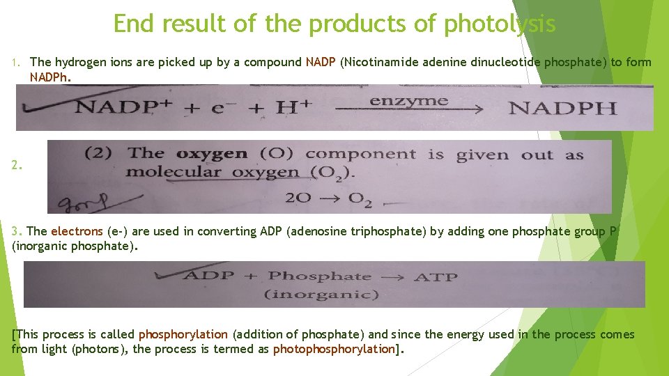 End result of the products of photolysis 1. The hydrogen ions are picked up