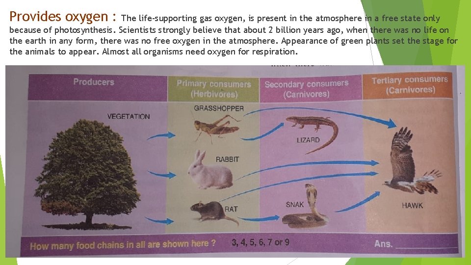 Provides oxygen : The life-supporting gas oxygen, is present in the atmosphere in a