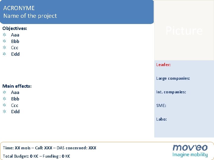 ACRONYMEProjets Name of the project Objectives: Aaa Bbb Ccc Ddd Picture Leader: Large companies: