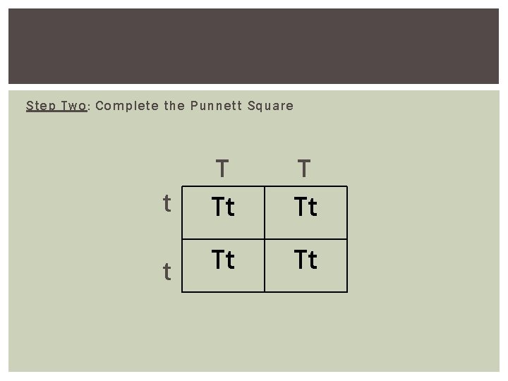 Step Two: Complete the Punnett Square T T t Tt Tt 