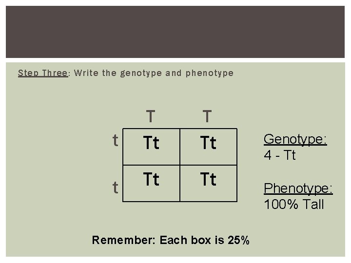 Step Three: Write the genotype and phenotype T T t Tt Tt Remember: Each