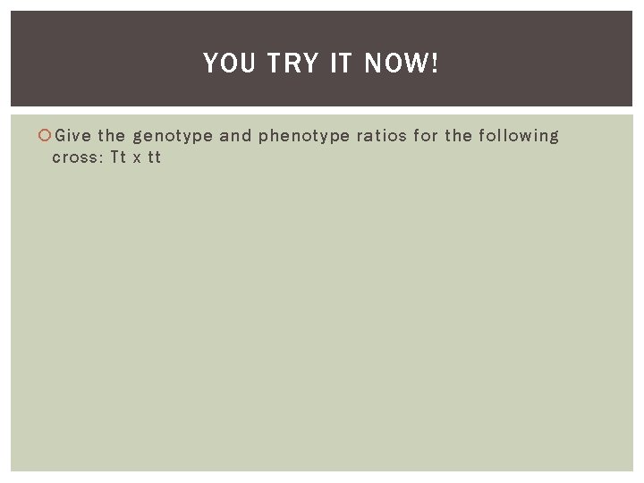 YOU TRY IT NOW! Give the genotype and phenotype ratios for the following cross: