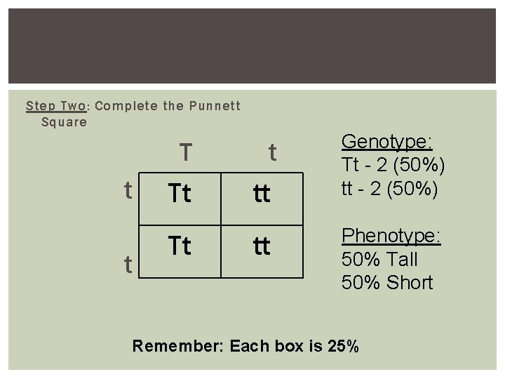 Step Two: Complete the Punnett Square t t Tt tt Genotype: Tt - 2