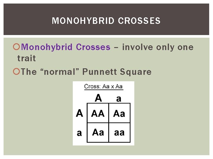 MONOHYBRID CROSSES Monohybrid Crosses – involve only one trait The “normal” Punnett Square 