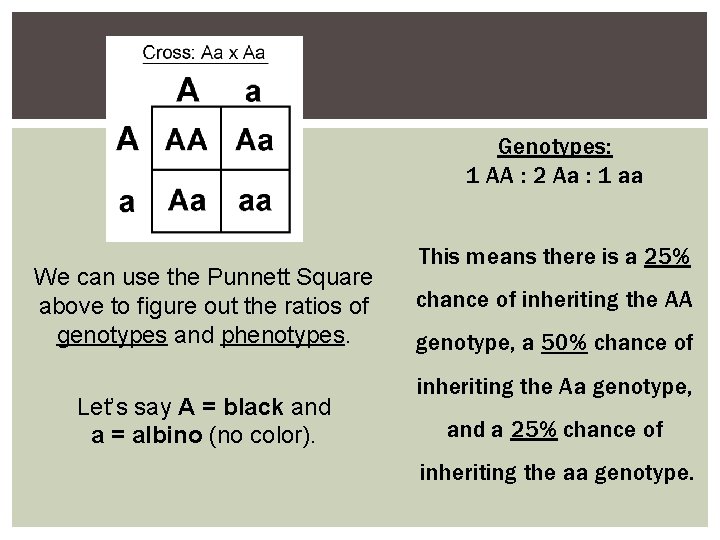 Genotypes: 1 AA : 2 Aa : 1 aa We can use the Punnett