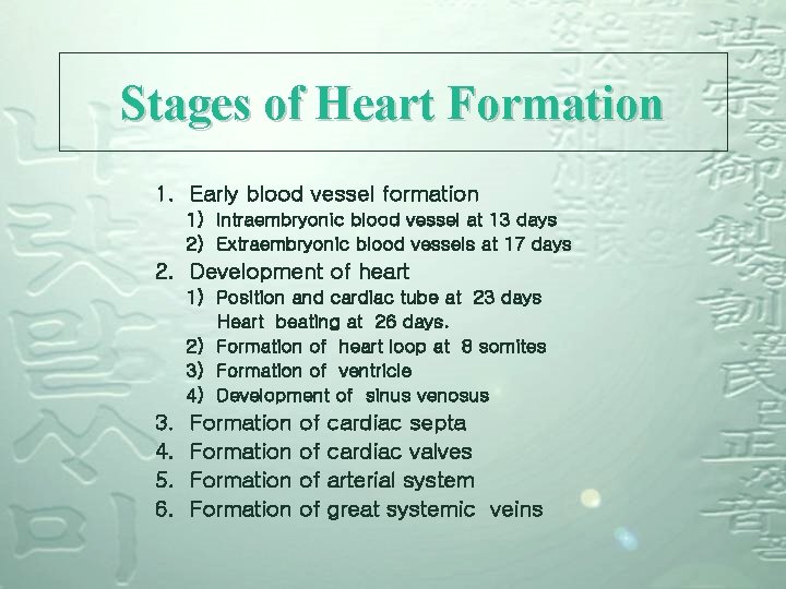 Stages of Heart Formation 1. Early blood vessel formation 1) Intraembryonic blood vessel at